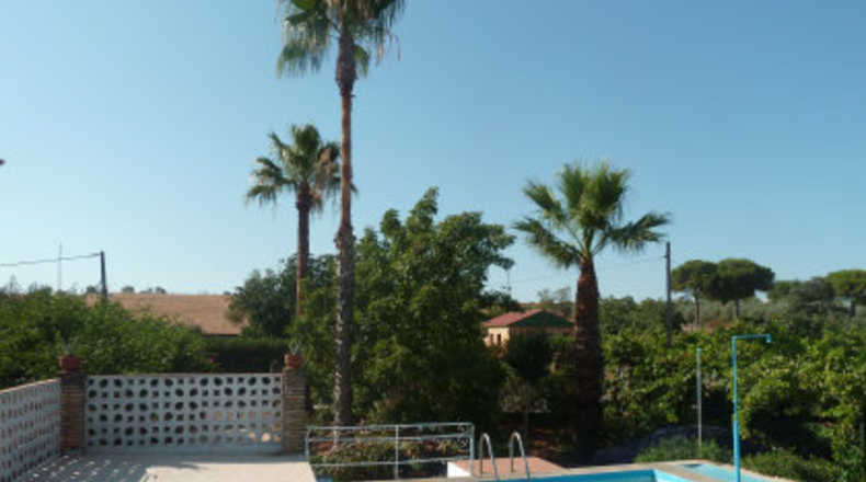 Sevilla - Mairena del Alcor - 2700m2