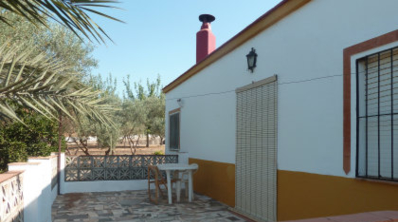 Sevilla - Mairena del Alcor - 2700m2