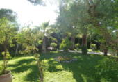 Xalet independent amb terreny en venda a Sevilla ref.: TR29033 foto
