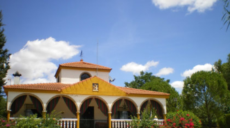 Sevilla - Mairena del Alcor - 4295m2