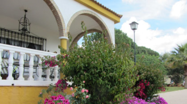 Sevilla - Mairena del Alcor - 4295m2