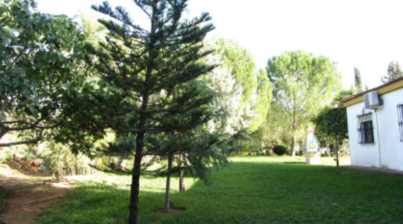 Sevilla - Mairena del Alcor - 4295m2