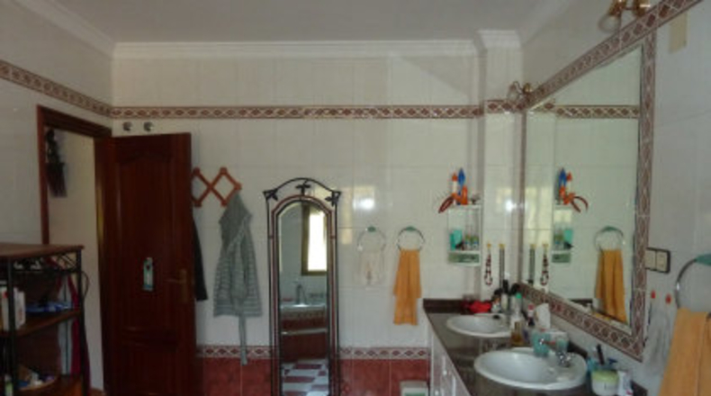 Sevilla - Mairena del Alcor - 4295m2