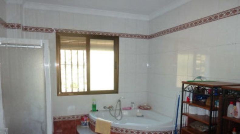 Sevilla - Mairena del Alcor - 4295m2