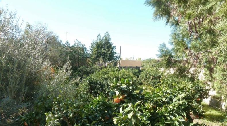 Sevilla - Mairena del Alcor - 1350m2