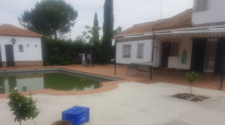Sevilla - Mairena del Alcor - 1000m2