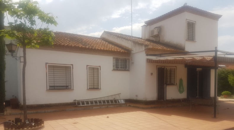 Sevilla - Mairena del Alcor - 1000m2