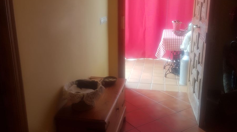Sevilla - Mairena del Alcor - 1000m2