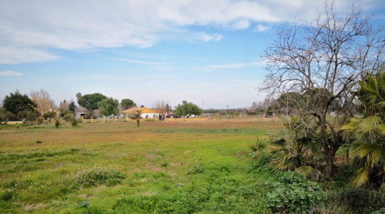 Sevilla - Carmona - 3m2