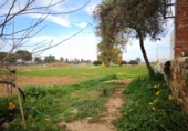 Finca rústica en venda a Carmona ref.: TR209858 foto