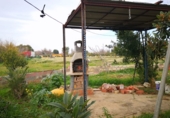 Finca rústica en venda a Carmona ref.: TR209858 foto