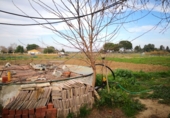 Finca rústica en venda a Carmona ref.: TR209858 foto