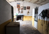 Finca rústica en venda a Carmona ref.: TR209858 foto