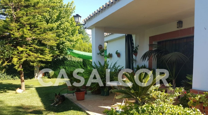 Sevilla - Mairena del Alcor - 1423m2