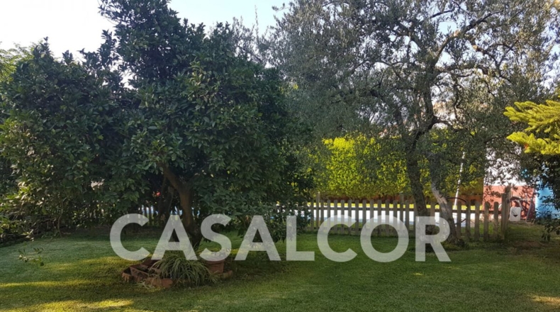 Sevilla - Mairena del Alcor - 1423m2