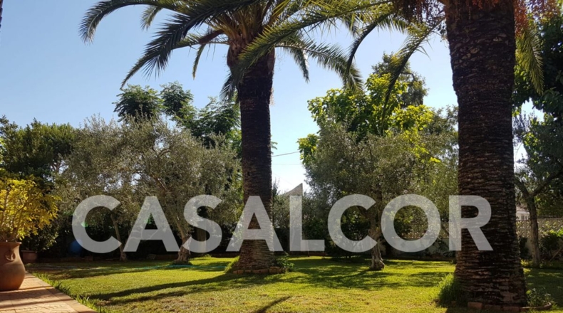 Sevilla - Mairena del Alcor - 1423m2