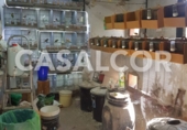Xalet independent amb terreny en venda a Mairena del Alcor ref.: TR31488 foto