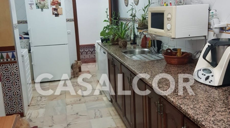 Sevilla - Mairena del Alcor - 1423m2