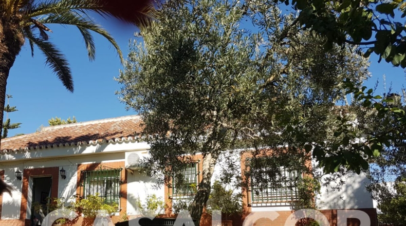 Sevilla - Mairena del Alcor - 1423m2