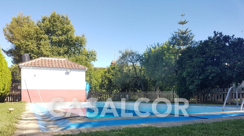 Sevilla - Mairena del Alcor - 1423m2