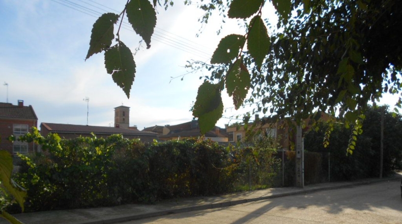 Valladolid - Fuensaldaña - 600m2