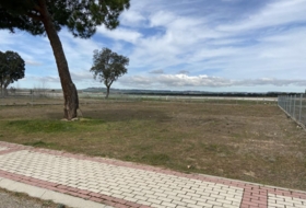 Foto 9