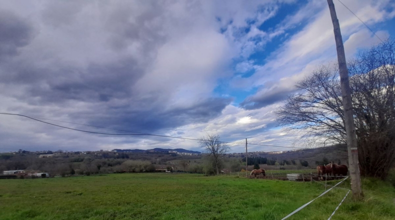 Asturias - Oviedo - 2500m2