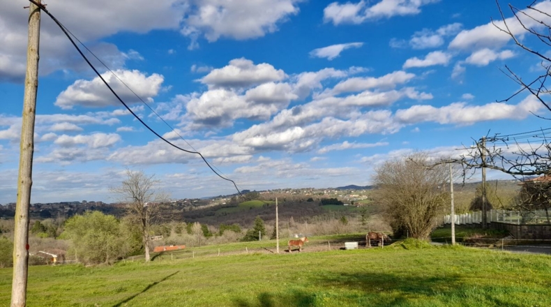 Asturias - Oviedo - 2500m2