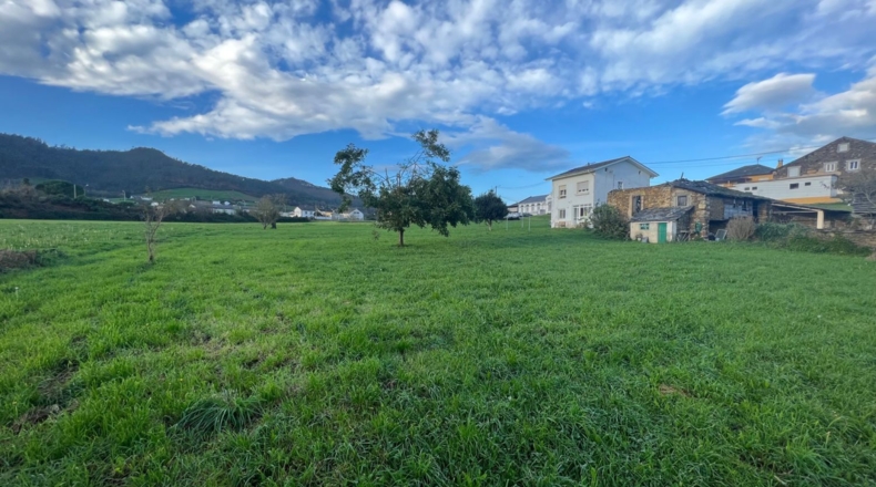 Asturias - Ribadebaxu - 7800m2