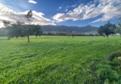 Finca rústica en venta en la España, Otur, ref: TR181012 foto
