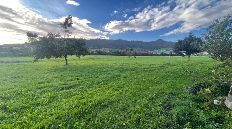 Asturias - Ribadebaxu - 7800m2