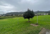 Finca rústica en venta en la España, Otur, ref: TR181012 foto