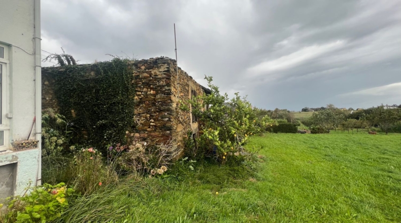 Asturias - Ribadebaxu - 7800m2