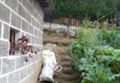 Sòl urbà en venda a Langreo ref.: TR367416 foto