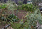 Sòl urbà en venda a Langreo ref.: TR367416 foto