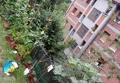 Sòl urbà en venda a Langreo ref.: TR367416 foto