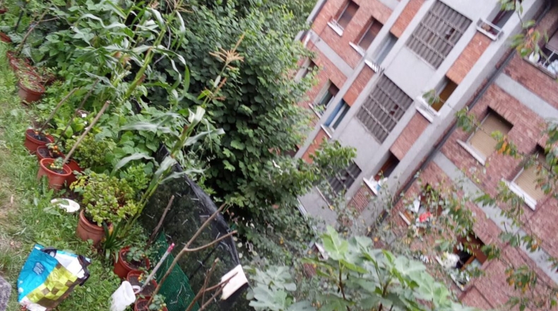 Asturias - La Campa (Barros) - 400m2