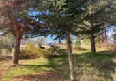 Land suitable for development for sale in Robledillo de la Jara ref: TR22293 photo