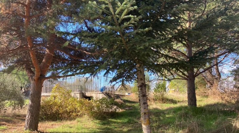 Comunidad de Madrid - Robledillo de la Jara - 2300m2