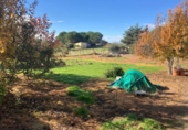 Land suitable for development for sale in Robledillo de la Jara ref: TR22293 photo