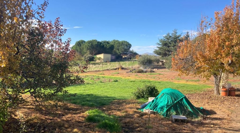 Comunidad de Madrid - Robledillo de la Jara - 2300m2