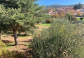 Land suitable for development for sale in Robledillo de la Jara ref: TR22293 photo