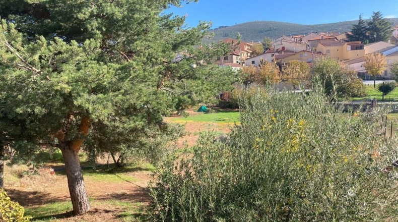 Comunidad de Madrid - Robledillo de la Jara - 2300m2