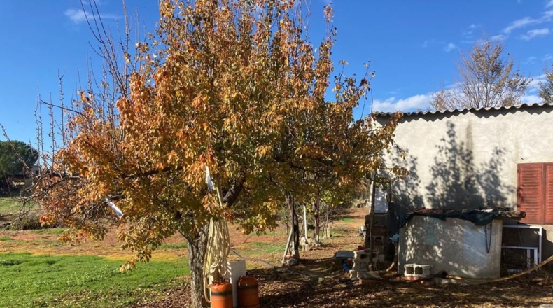 Comunidad de Madrid - Robledillo de la Jara - 2300m2