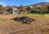 Land suitable for development for sale in Robledillo de la Jara ref: TR22293 photo
