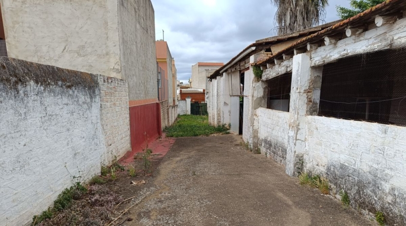Sevilla - Brenes - 569m2