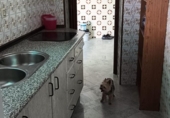 Дом с участком на продажу в городе Brenes. Фото