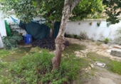 Дом с участком на продажу в городе Brenes. Фото