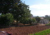 Detached villa with land for sale in Elda ref: TR14917 photo