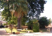 Detached villa with land for sale in Elda ref: TR14917 photo